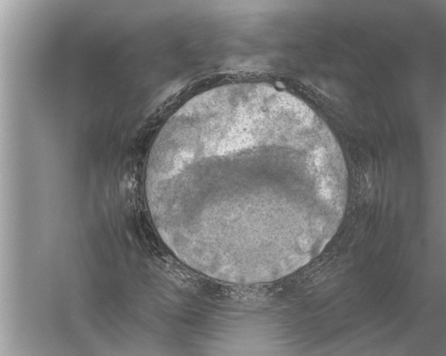 X0000057081254200510010150