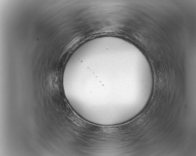 X0000057081258200510010150