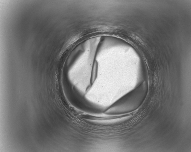 X0000057081261200510010150