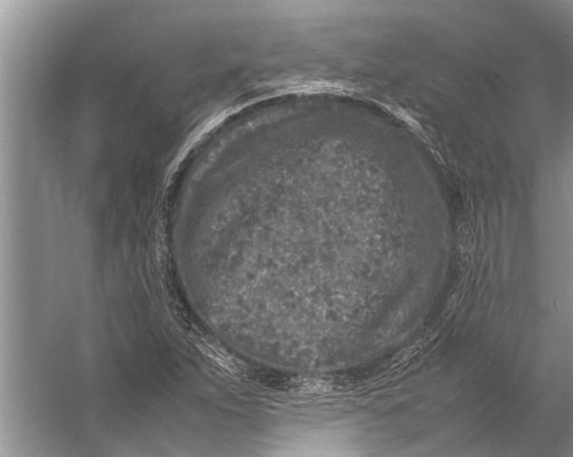 X0000057081263200510010150