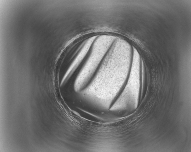 X0000057081264200510010150