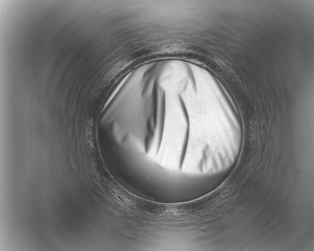 X0000057081265200510010150