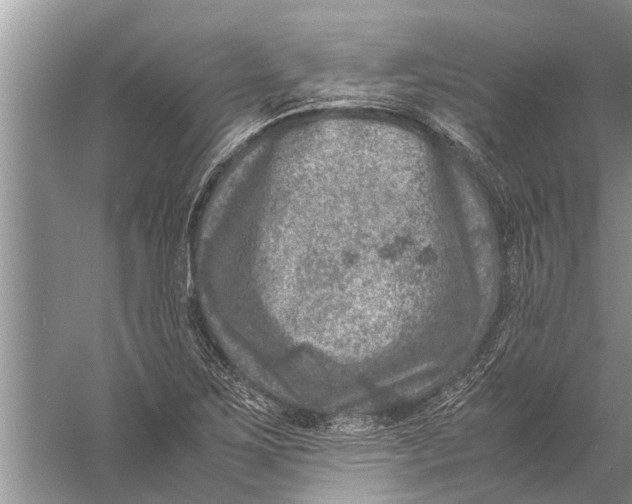 X0000057081267200510010150