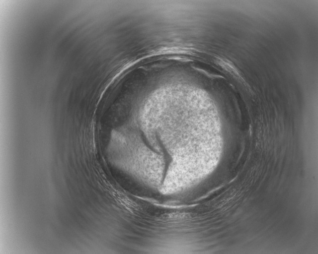 X0000057081268200510010150