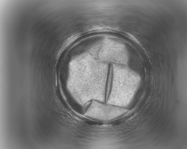 X0000057081269200510010150