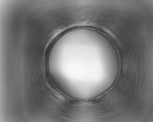 X0000057081270200510010150