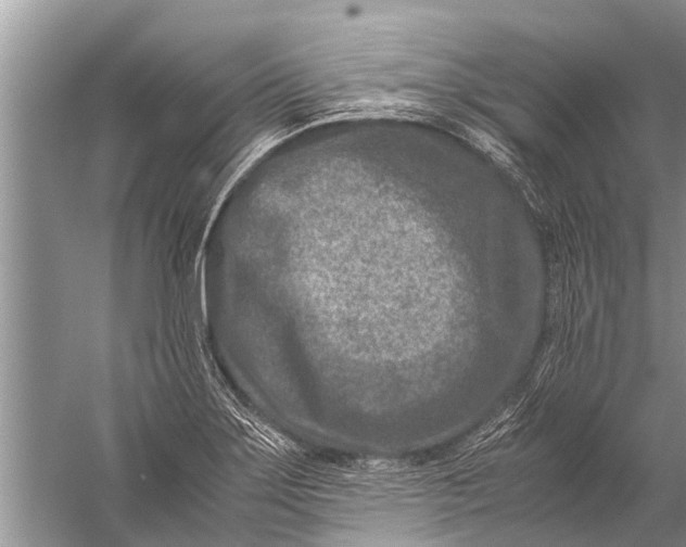 X0000057081275200510010150