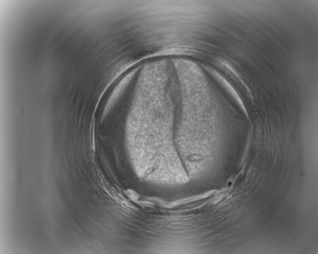 X0000057081276200510010150