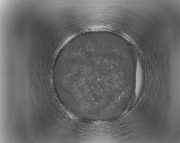 X0000057081277200510010150