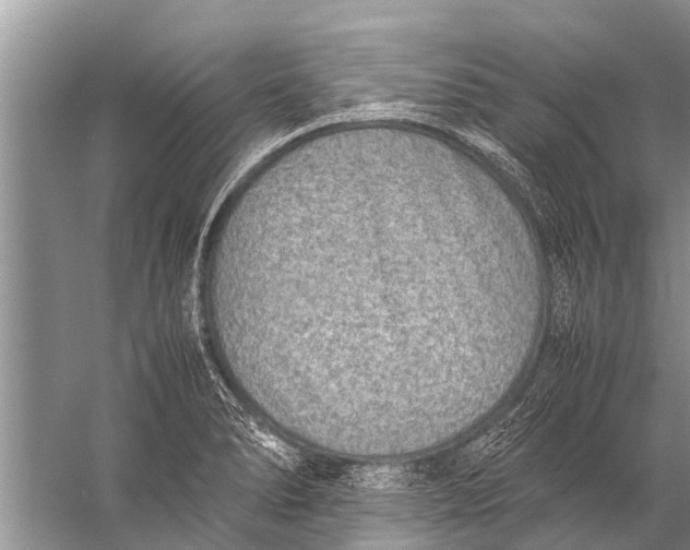 X0000057081278200510010150