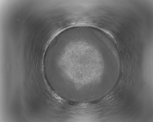 X0000057081279200510010150