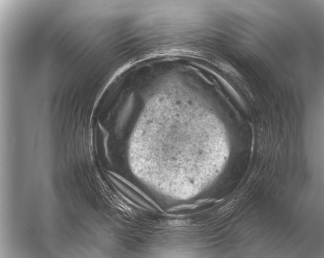 X0000057081280200510010150