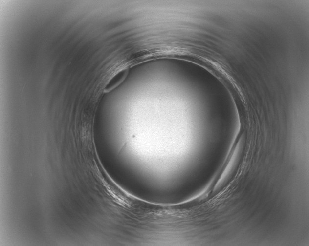 X0000057081281200510010150