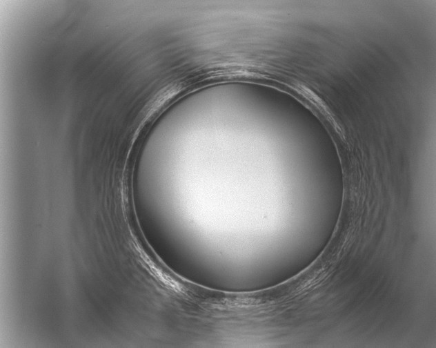 X0000057081285200510010150