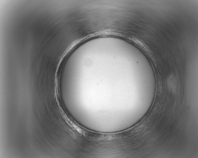 X0000057081286200510010150