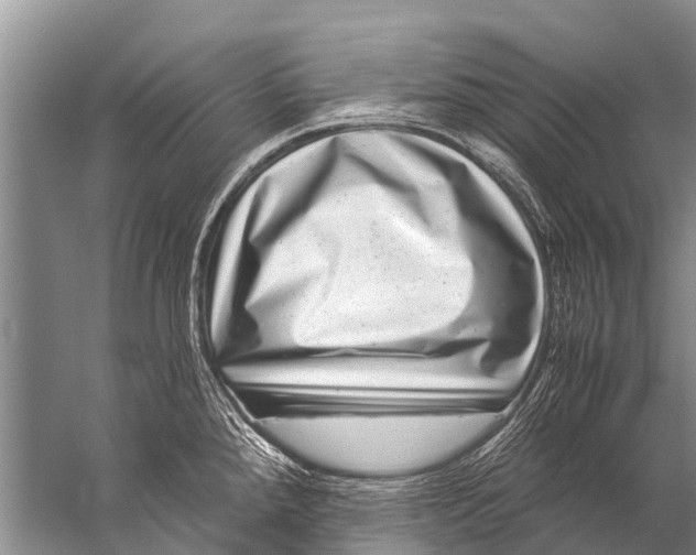 X0000057081288200510010150