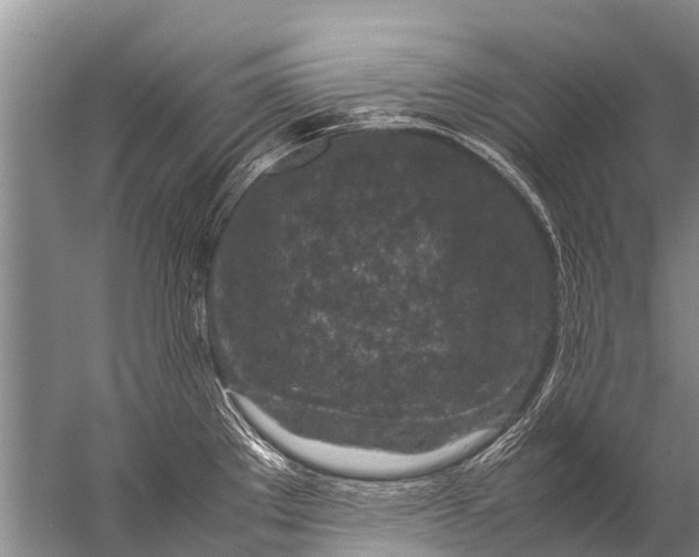 X0000057081289200510010150