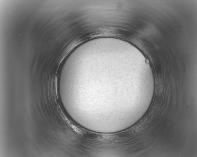 X0000057081290200510010150