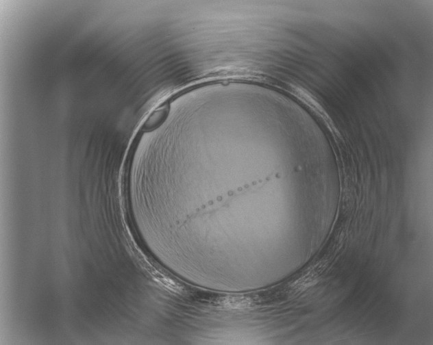 X0000057081291200510010150