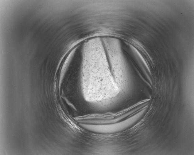 X0000057081292200510010150