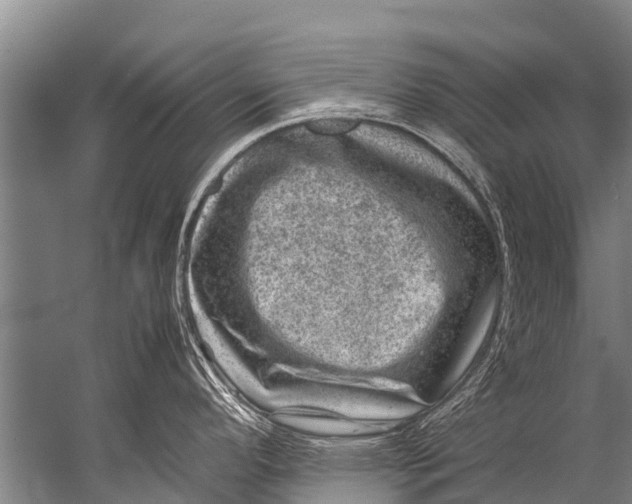 X0000057081296200510010150