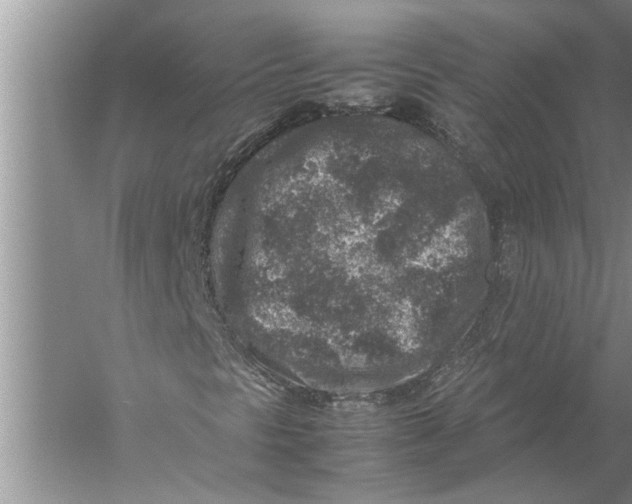 X0000057081297200510010149