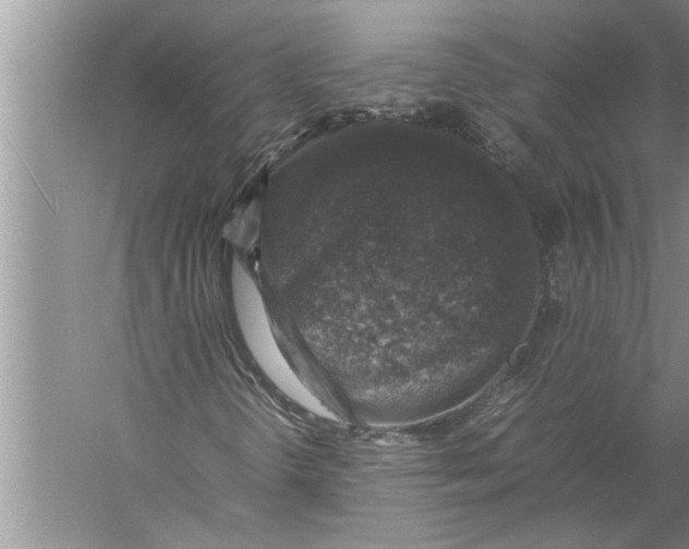 X0000057081298200510010149