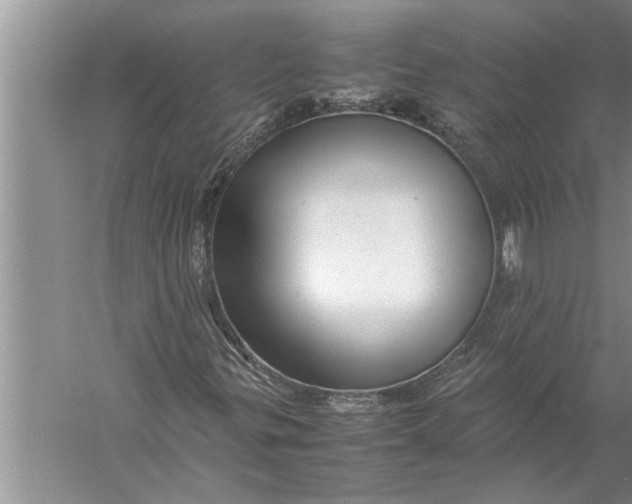 X0000057081299200510010149