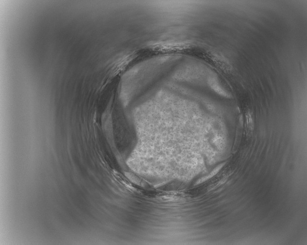 X0000057081300200510010149