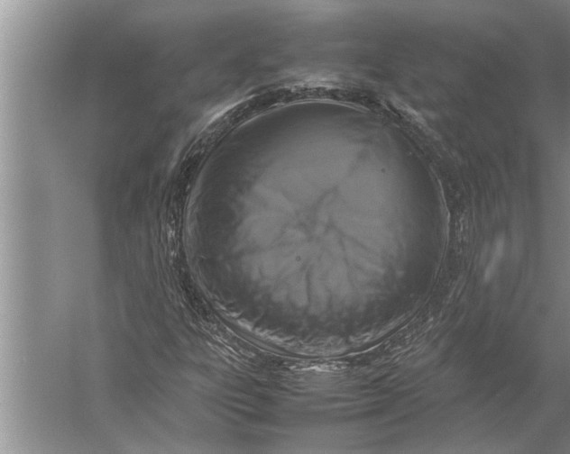 X0000057081303200510010149