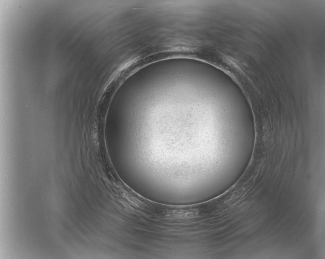 X0000057081307200510010149