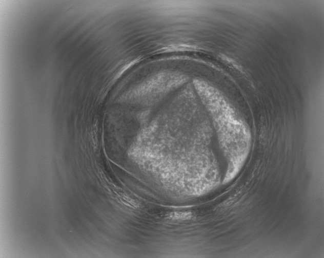 X0000057081313200510010149