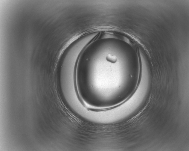 X0000057081317200510010149