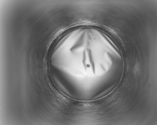 X0000057081318200510010149