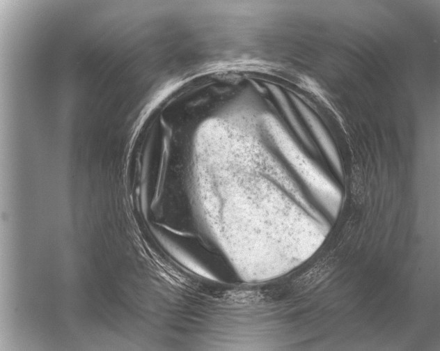 X0000057081320200510010149