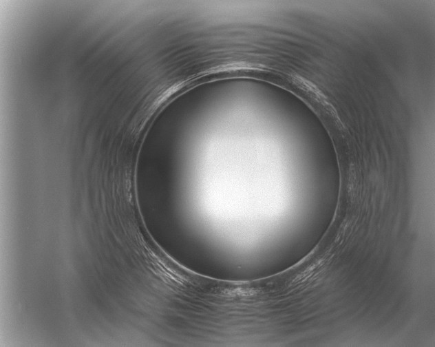 X0000057081321200510010149