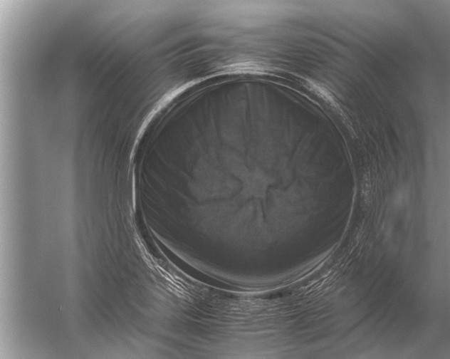 X0000057081323200510010149