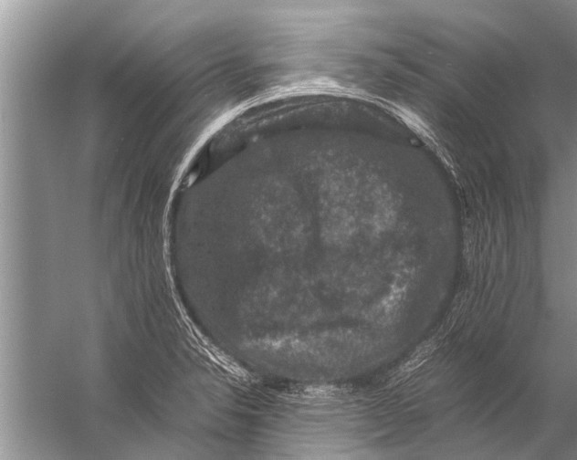 X0000057081326200510010149