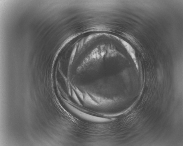 X0000057081331200510010149