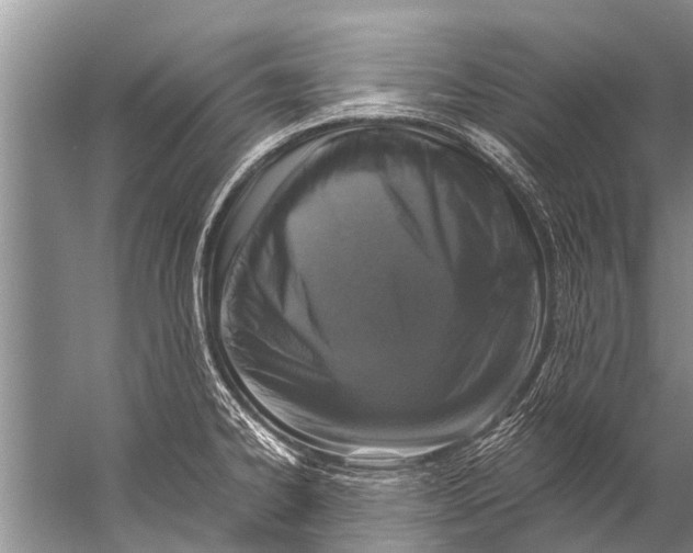 X0000057081334200510010149