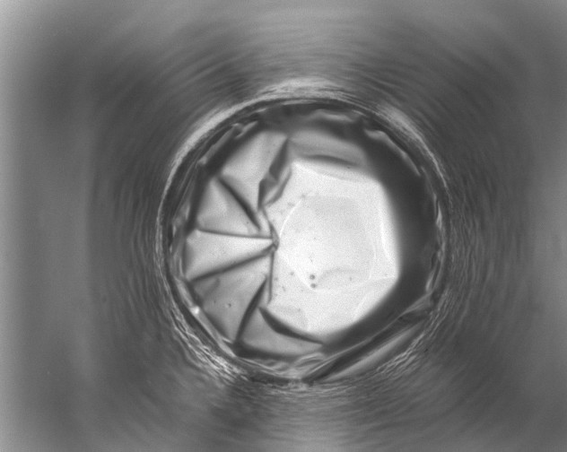 X0000057081336200510010149