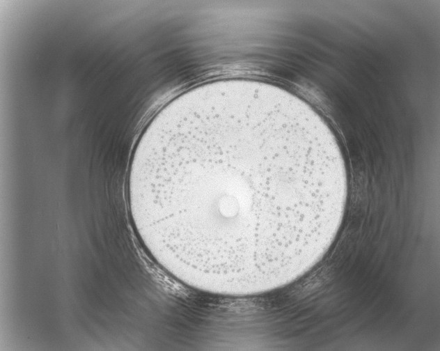 X0000057081338200510010149