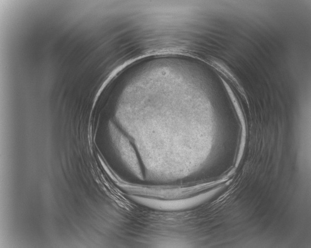 X0000057081340200510010150