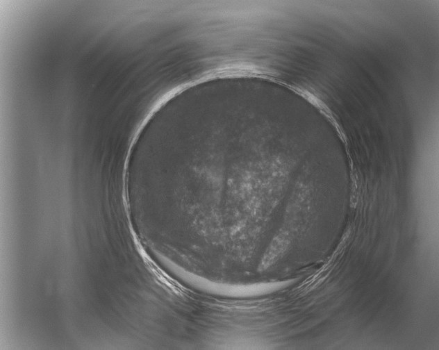 X0000057081342200510010150