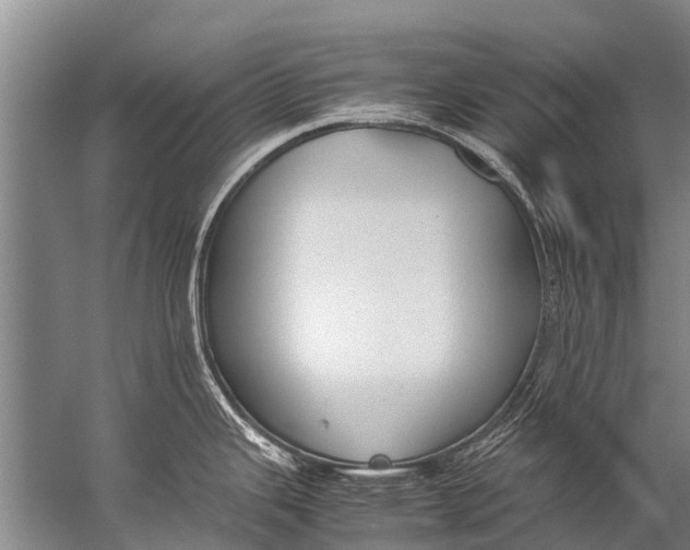 X0000057081343200510010150