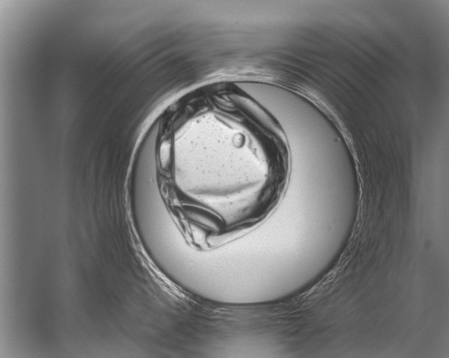 X0000057081344200510010150