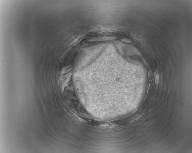 X0000057081348200510010149