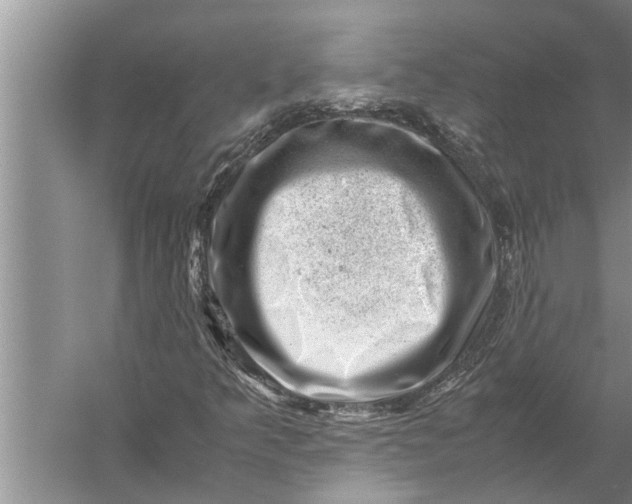 X0000057081349200510010149