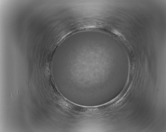 X0000057081353200510010149