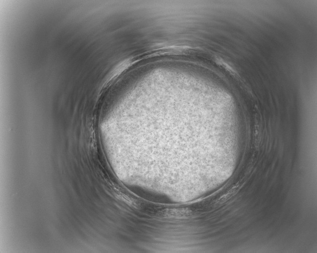 X0000057081354200510010149